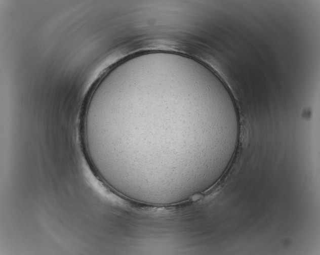 X0000113021139200909171447