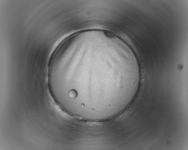 X0000113021140200909171447