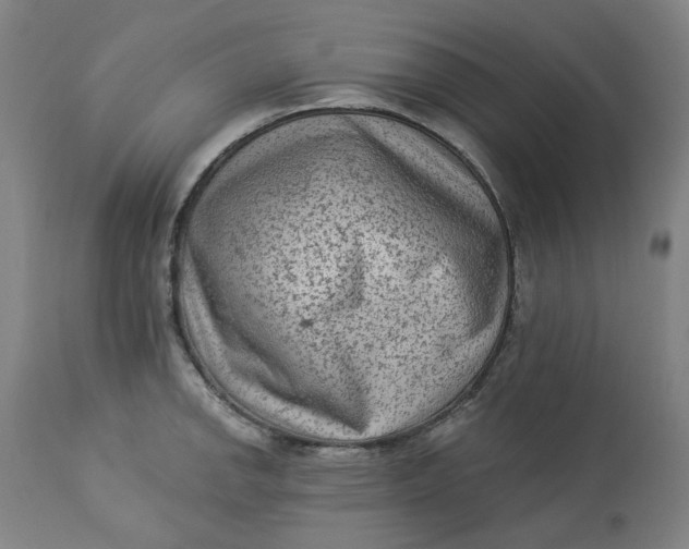 X0000113021142200909171447