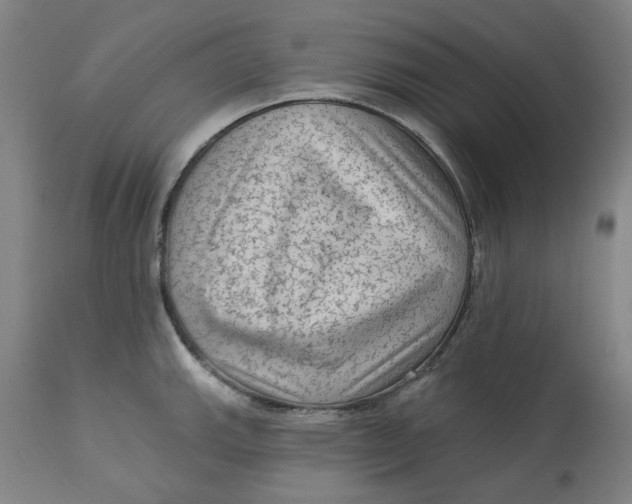 X0000113021143200909171447