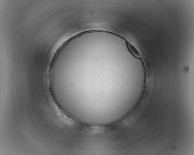 X0000113021144200909171447