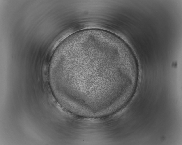 X0000113021145200909171447