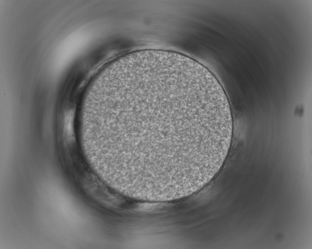 X0000113021150200909171447