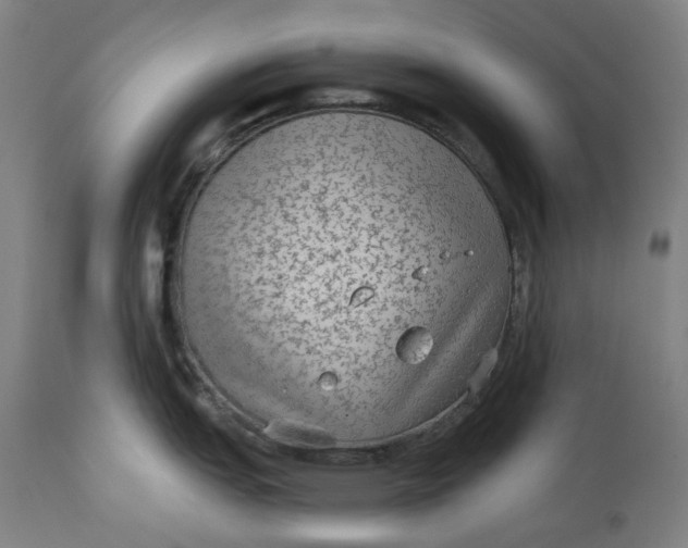 X0000113021151200909171447