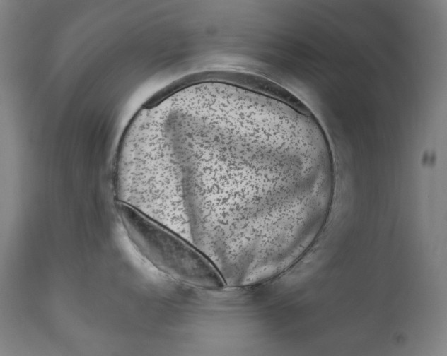 X0000113021152200909171447