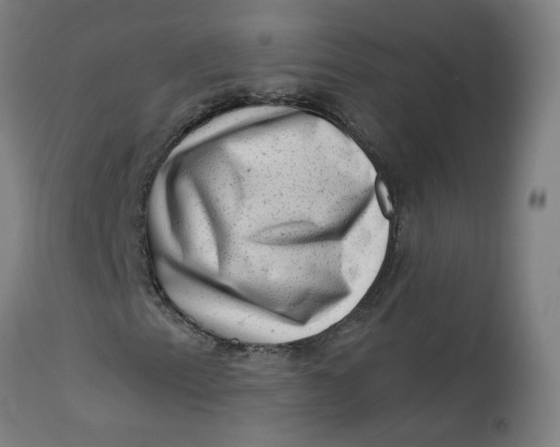 X0000113021153200909171447