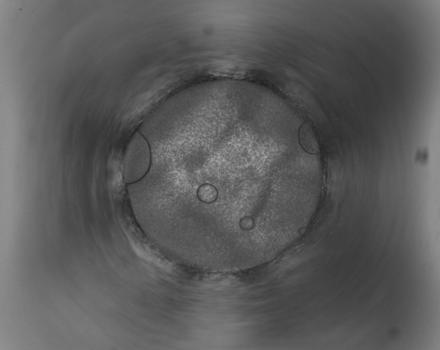 X0000113021154200909171447