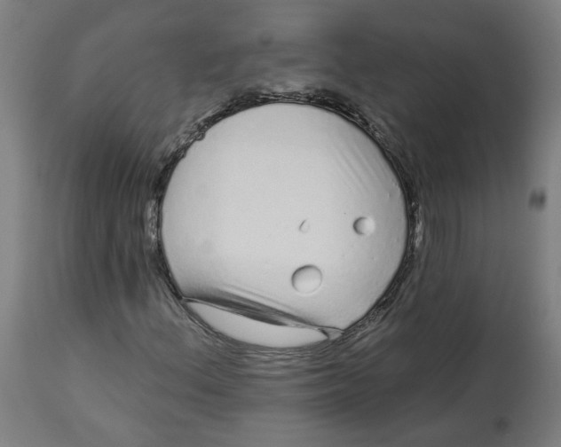 X0000113021156200909171447