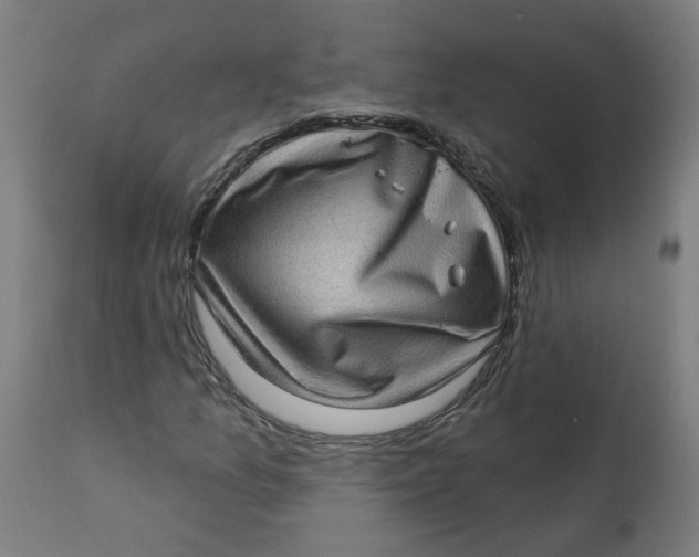 X0000113021157200909171447