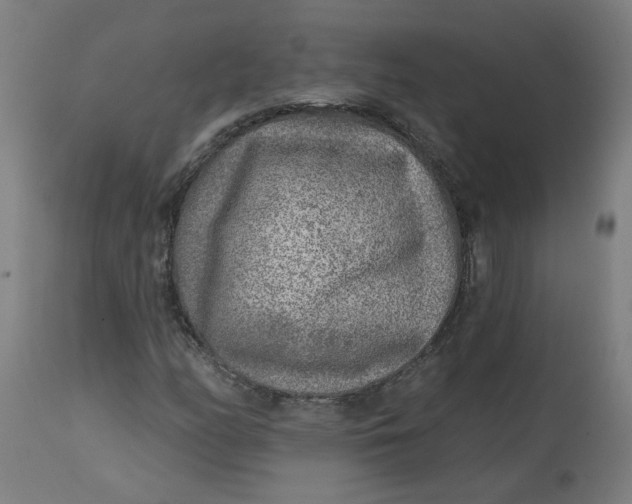 X0000113021158200909171447