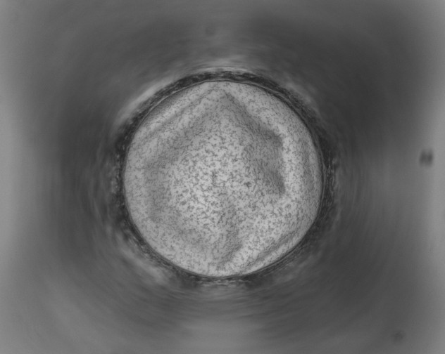 X0000113021159200909171447