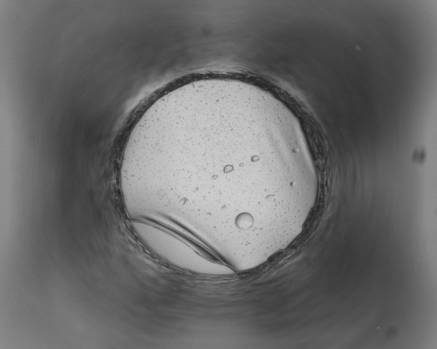 X0000113021160200909171447