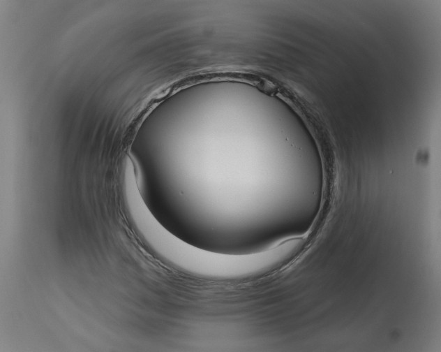 X0000113021161200909171446