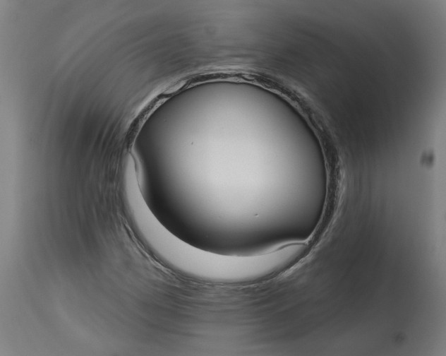 X0000113021162200909171446