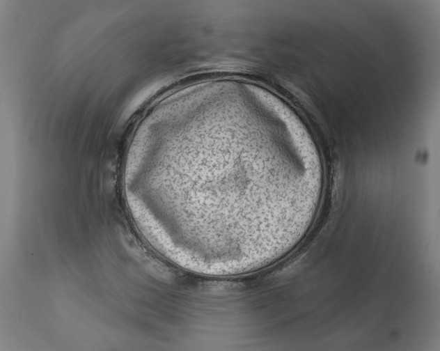 X0000113021163200909171446