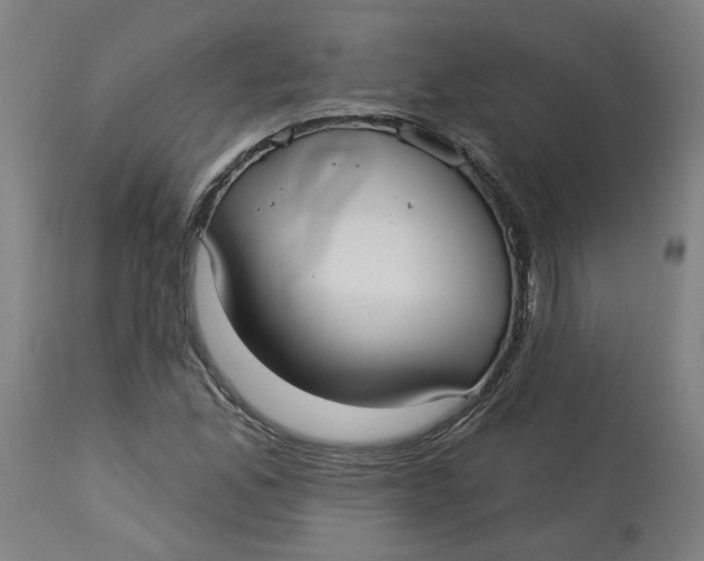 X0000113021165200909171446