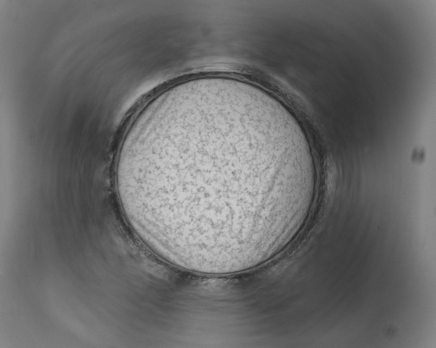 X0000113021166200909171446