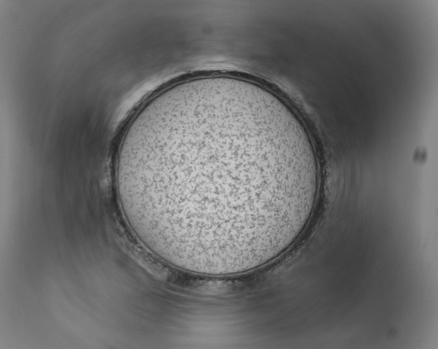 X0000113021167200909171446