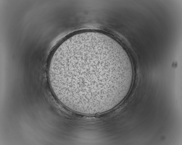 X0000113021168200909171446