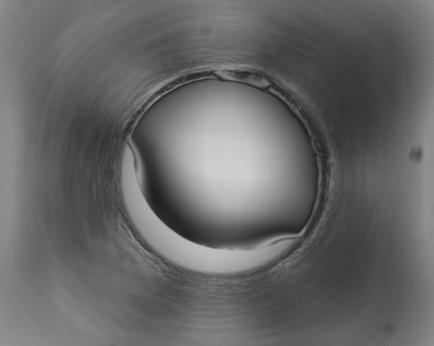 X0000113021169200909171446