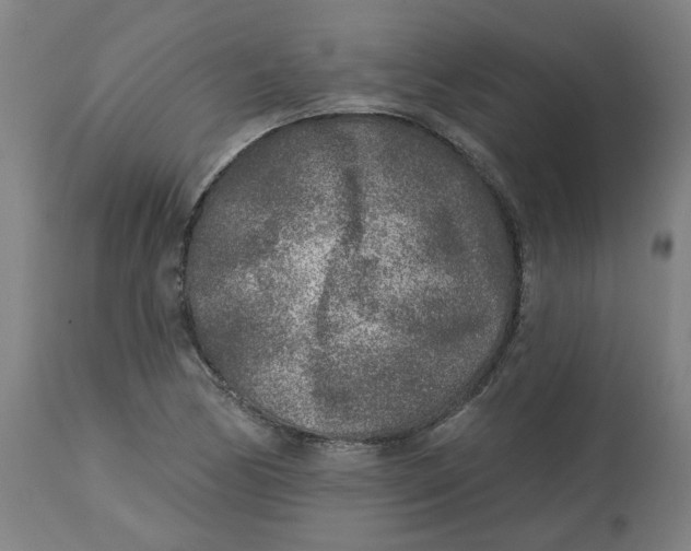 X0000113021170200909171446