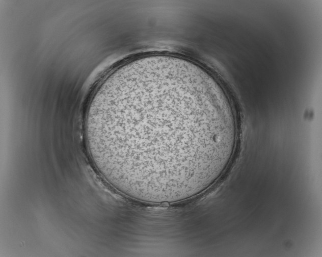 X0000113021172200909171446