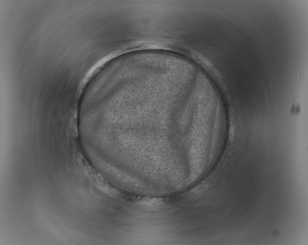 X0000113021174200909171446