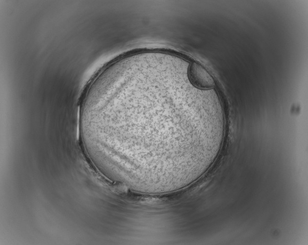 X0000113021175200909171446