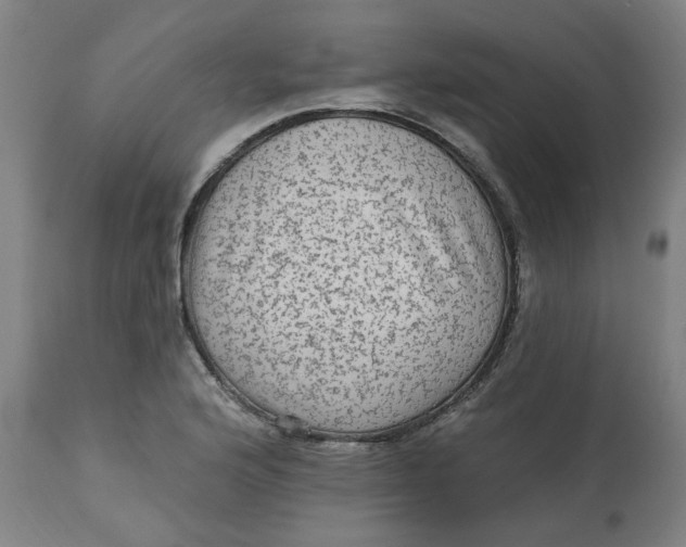 X0000113021176200909171446