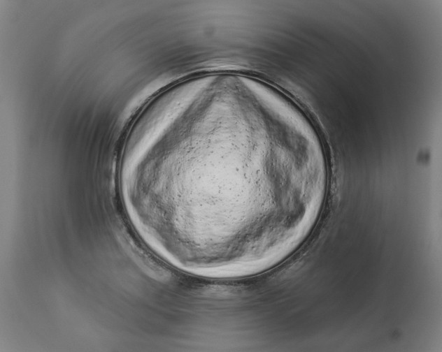 X0000113021179200909171446