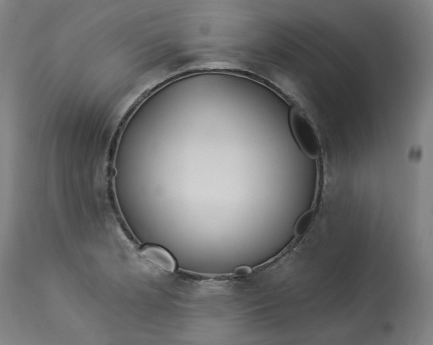 X0000113021181200909171446