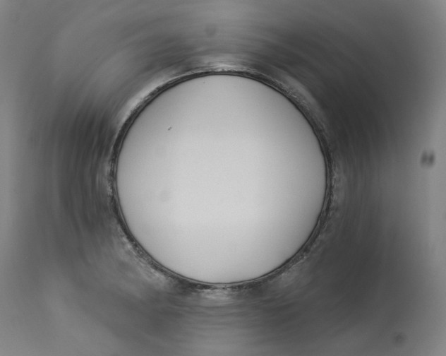 X0000113021182200909171446