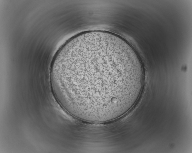 X0000113021184200909171446