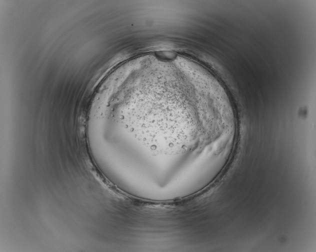 X0000113021185200909171446