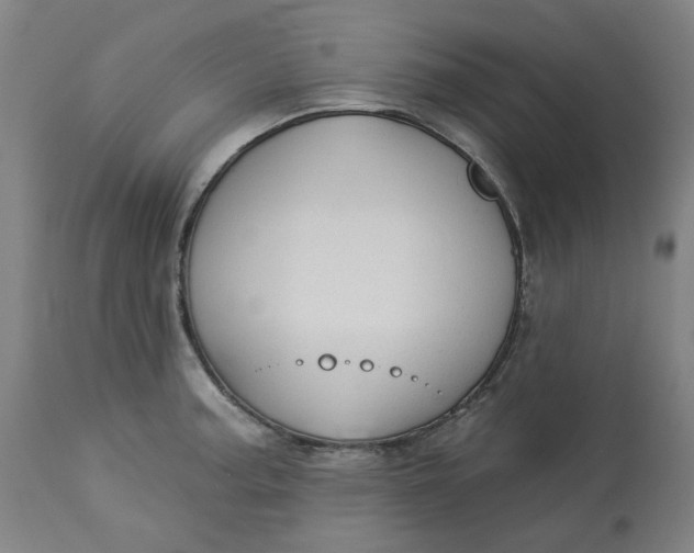 X0000113021187200909171446