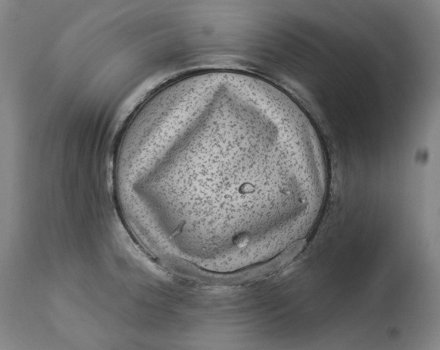 X0000113021188200909171446