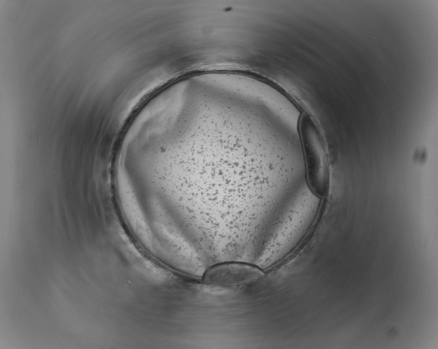 X0000113021189200909171446