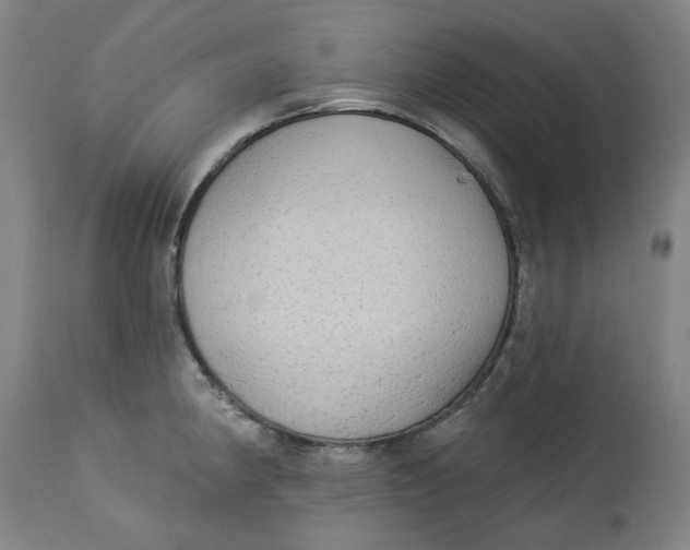 X0000113021190200909171446