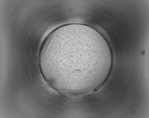 X0000113021192200909171446