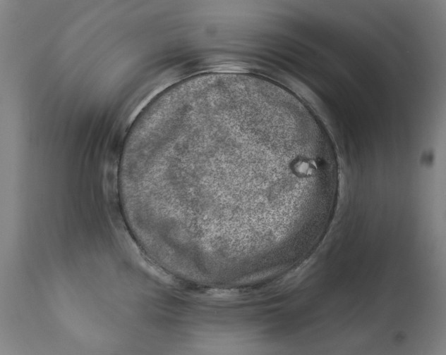 X0000113021194200909171446