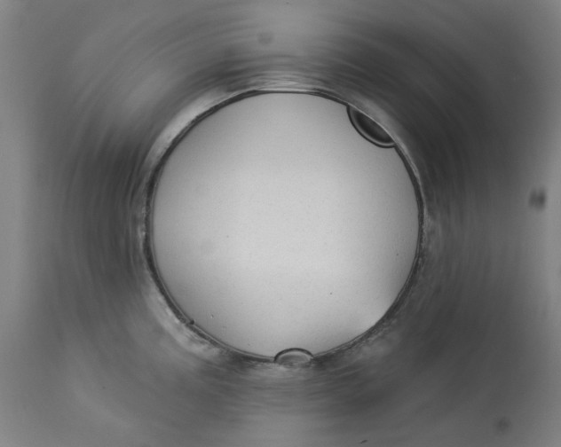 X0000113021195200909171446