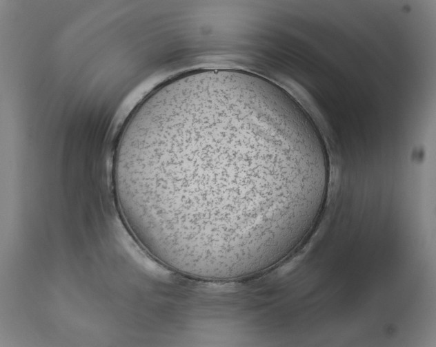 X0000113021196200909171446