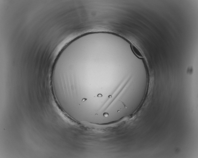 X0000113021197200909171446