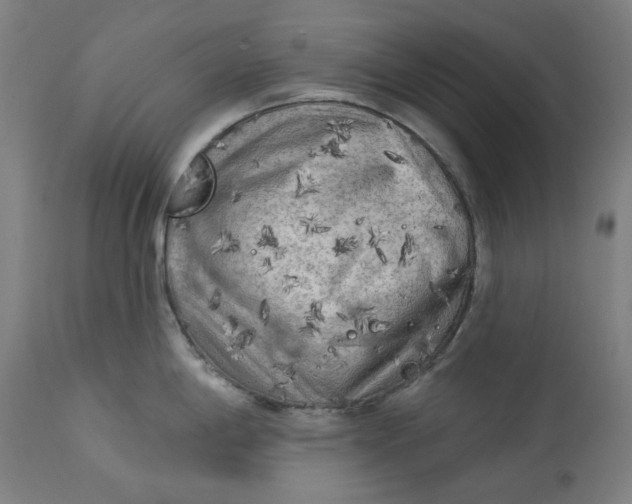 X0000113021198200909171446