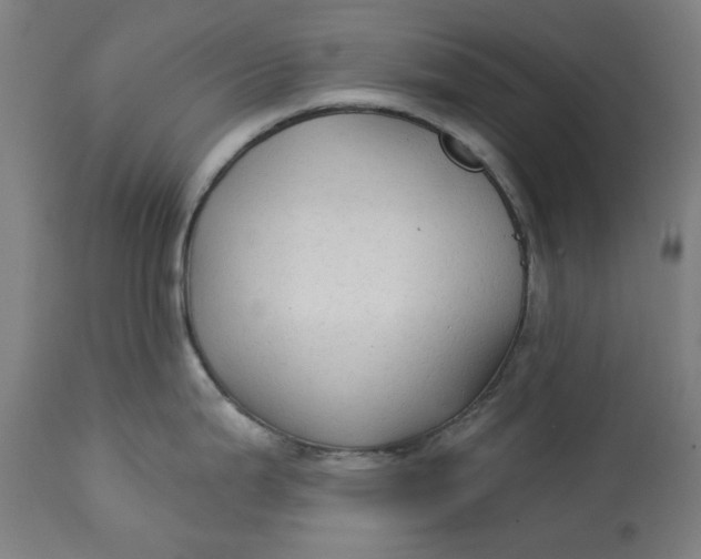 X0000113021199200909171446