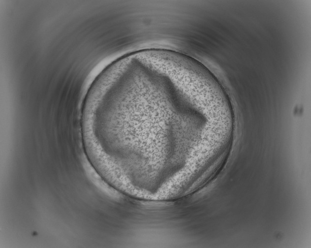 X0000113021200200909171446