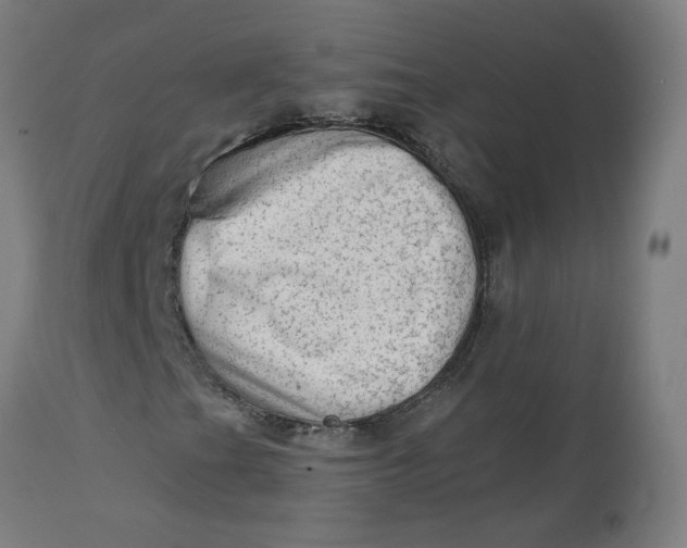 X0000113021201200909171445