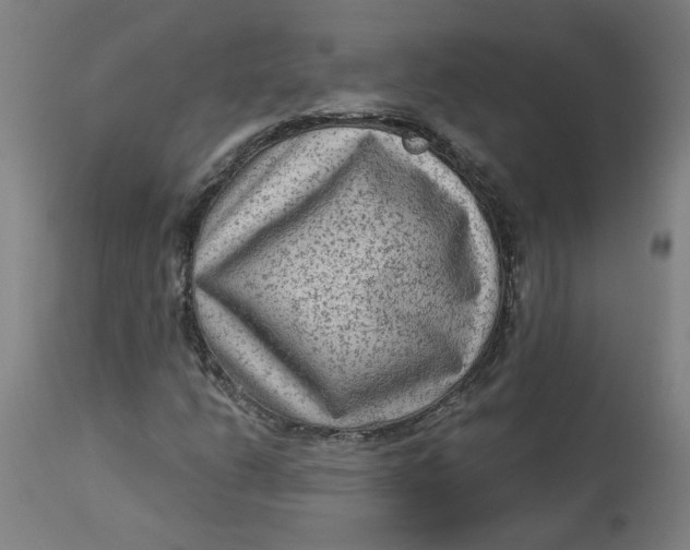 X0000113021206200909171445