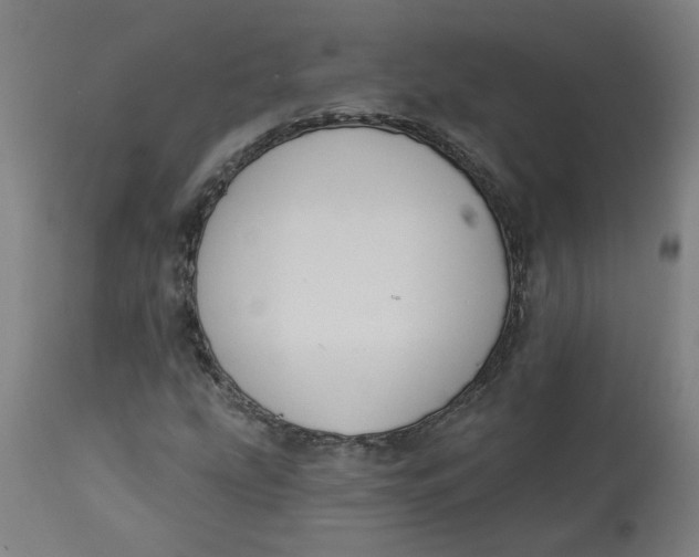 X0000113021207200909171445