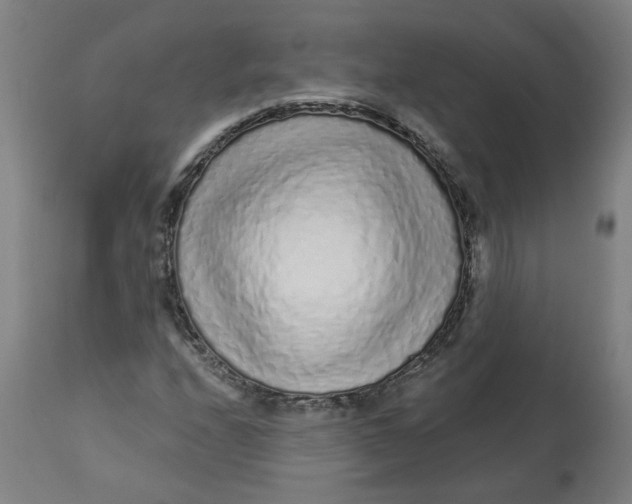 X0000113021208200909171445